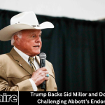 Can You Recycle Old Potting Soil? Experts Share What You Need to Know