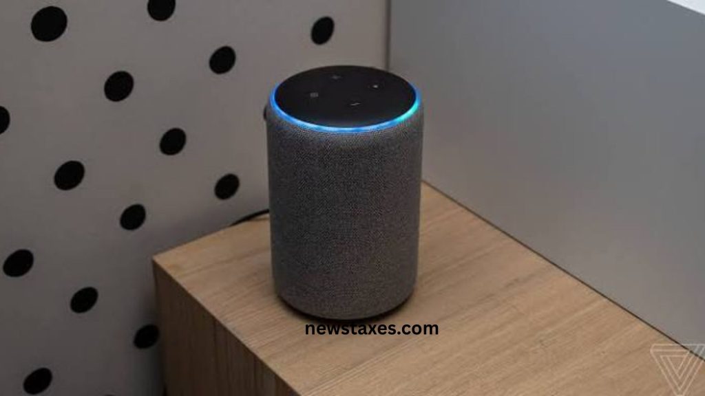 Fact Echo Review
